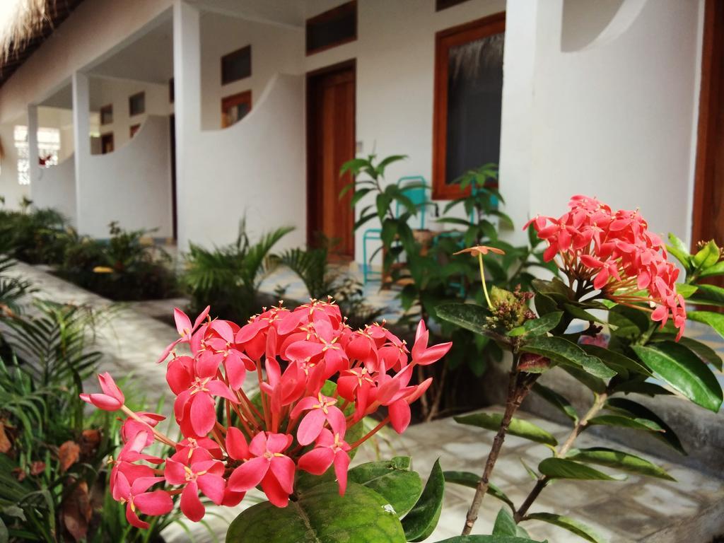 Hostel La Favela Gili Trawangan Exteriér fotografie