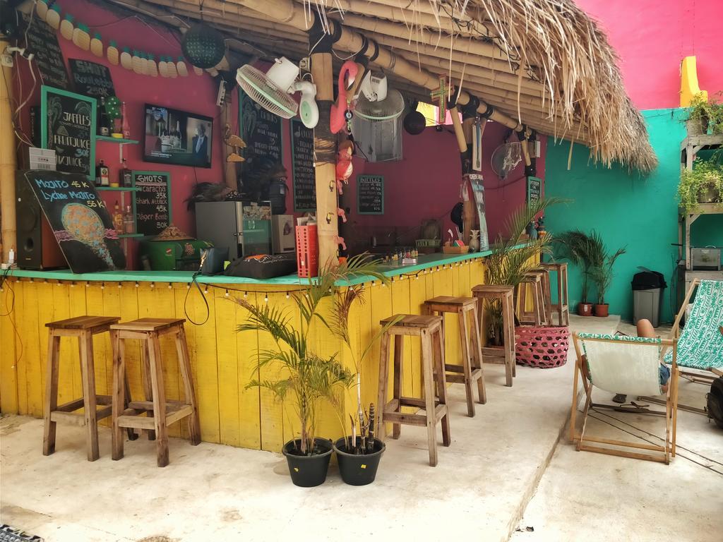 Hostel La Favela Gili Trawangan Exteriér fotografie